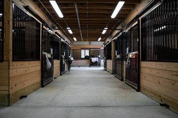 Childrens TherAplay_Horse Barns_800x500_1