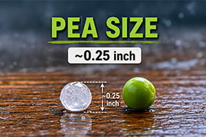 FBi Buildings_Pea-Sized Hail Damage