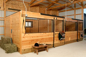 Horse Barn with Stalls