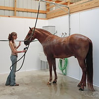 Horse_Barn_Wash_Bay