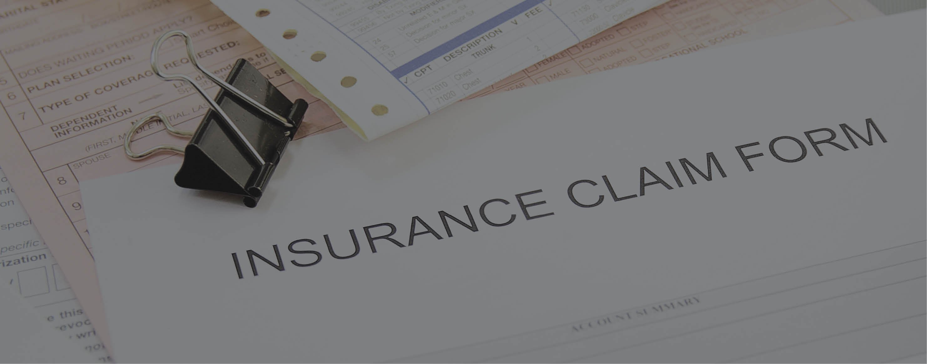 Insurance Claim Infographic_Landing_Page_Header-2