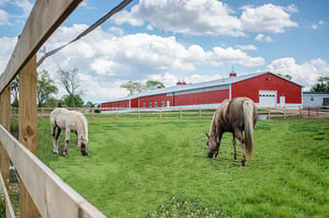 Legacy Ranch_Horse Barns_Riding Arena_800x500_5