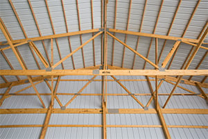 Look Up At Trusses