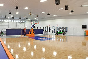 Peters Basketball Court