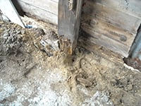 Rotted Pole Barn Columns_Blog