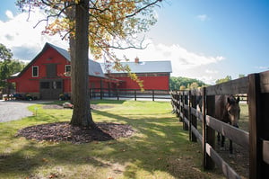 Stables & Stall Barns_Horse Barns Page