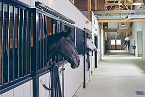 Stalls Barn