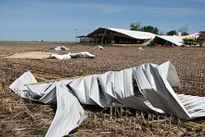 Storm Debris