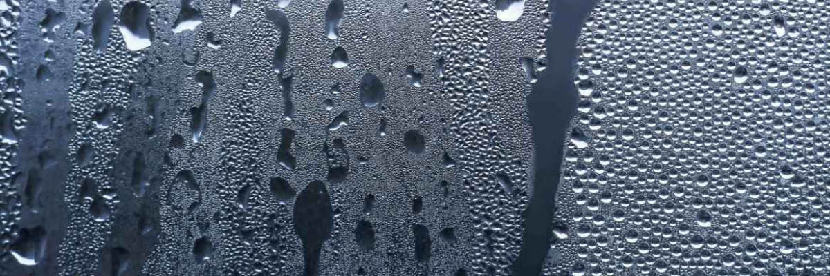 How to Avoid Condensation in Your Post Frame Building