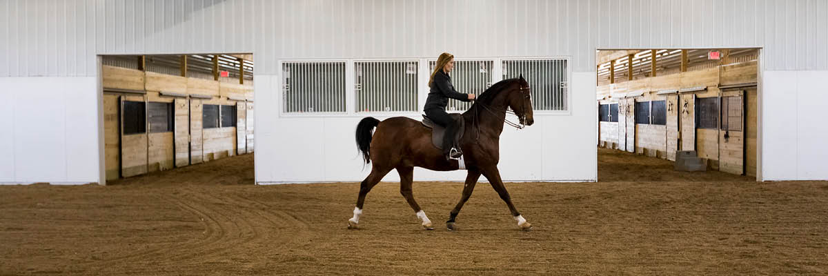 Our Top 5 Riding Arenas in 2024: More Than A Horse Barn