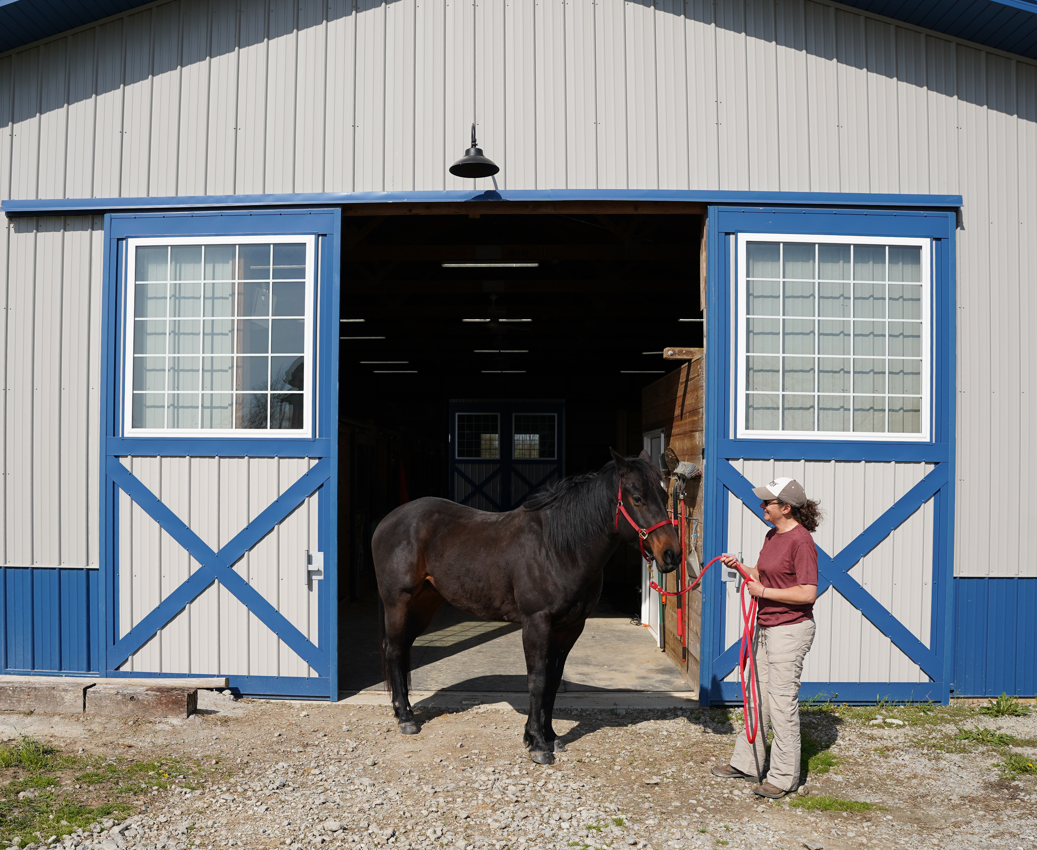 Top 10 Horse Barn Features: How Much Do They Cost?